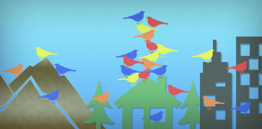wherebirds