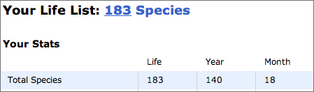 my ebird