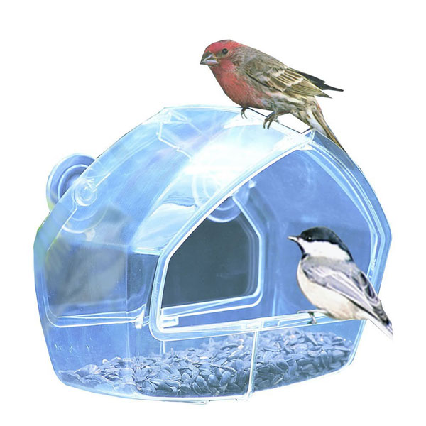 bird lover gift ideas bird window feeder