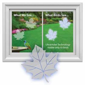 bird window safety clings