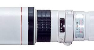 canon 400m telephoto birding lens