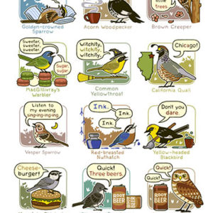 mnemonics bird call poster western north america
