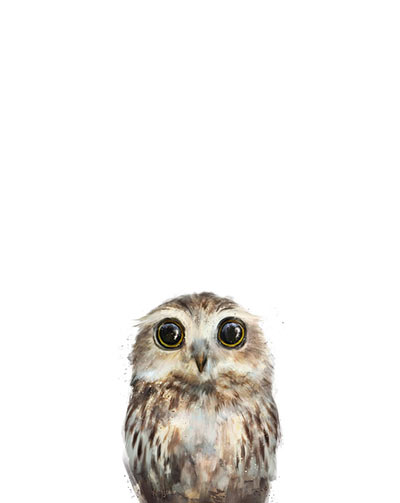 little owl painting