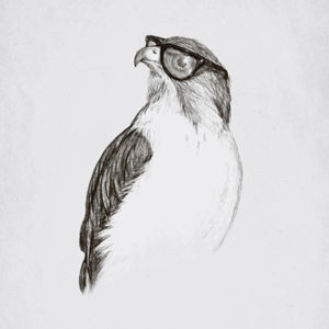 Hawk with Glasses