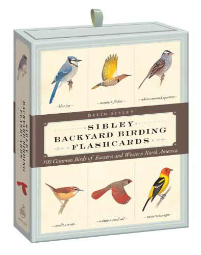 sibley birding flash cards