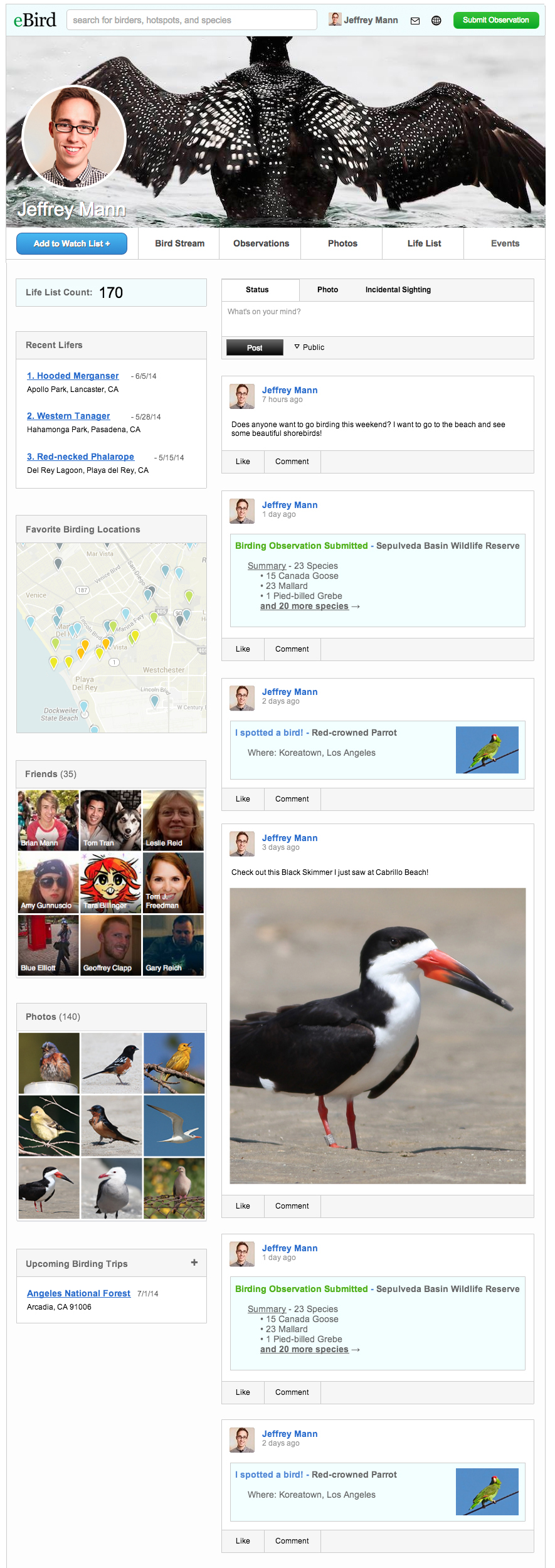 ebird social network mockup