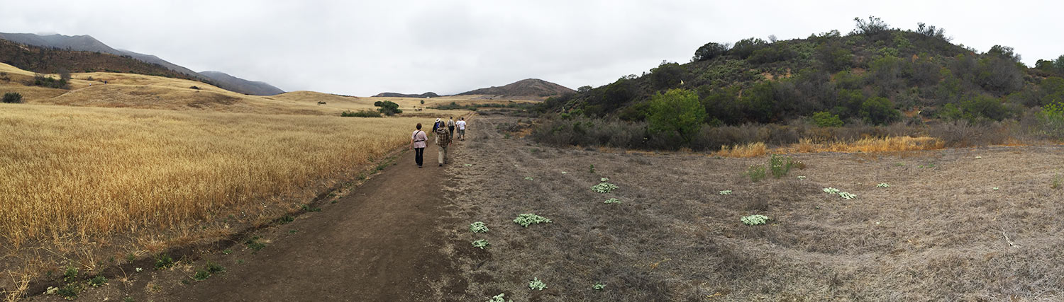 rancho sierra vista panorama