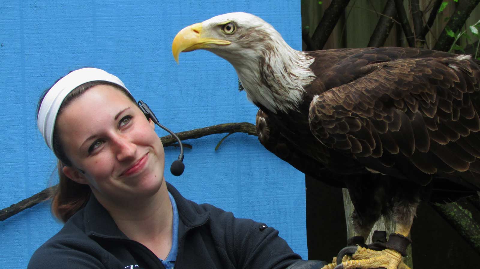proud trainer holding eagle