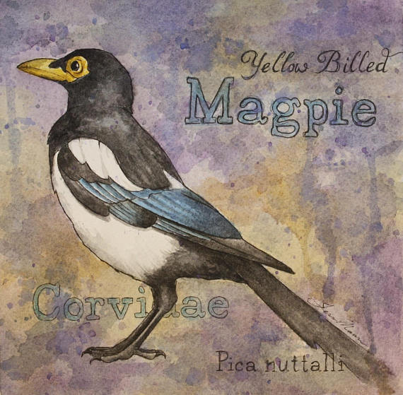 Magpie Watercolor Print