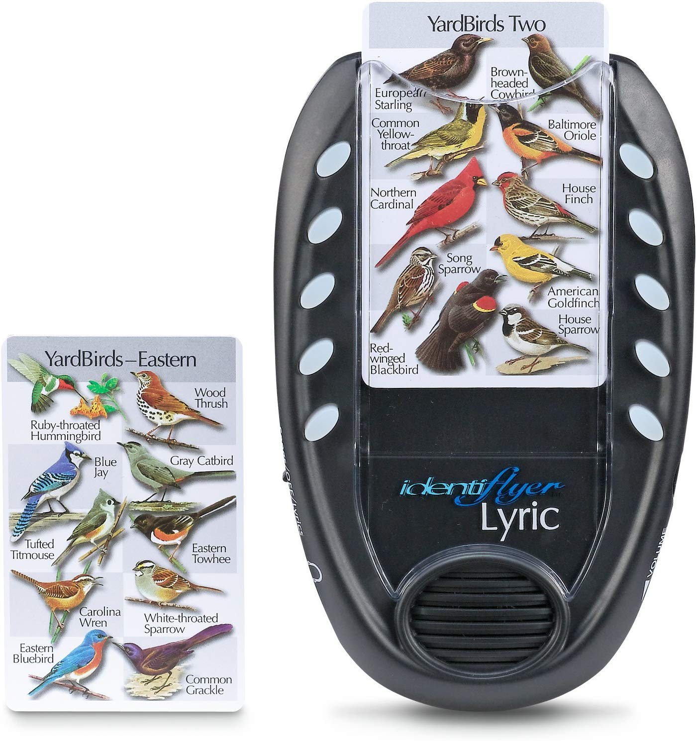 Identiflyer - Bird Song Pocket Identfication