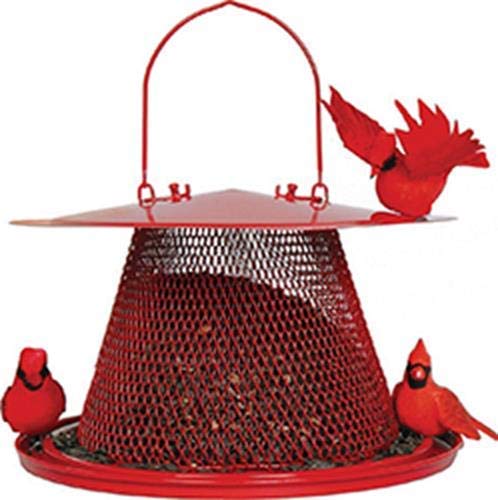 red cardinal bird feeder