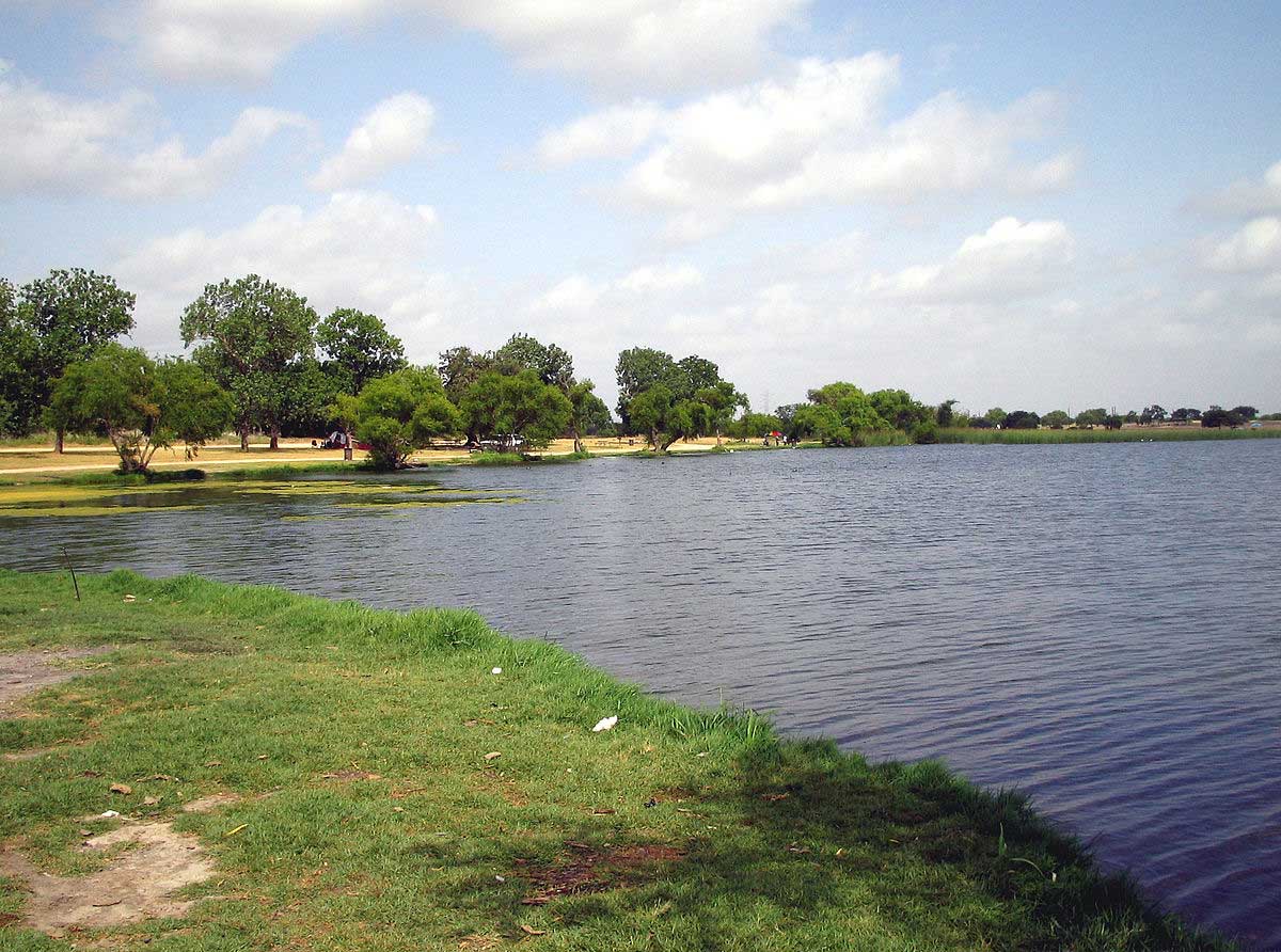 braunig lake shore