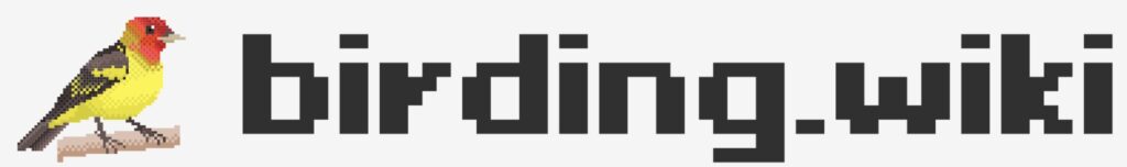 Birding.wiki logo