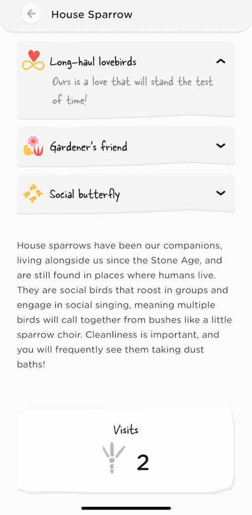 History and facts about house sparrow bird buddy app