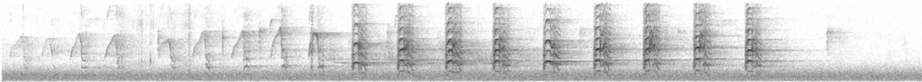 Spectrogram of the Red-shouldered Hawk