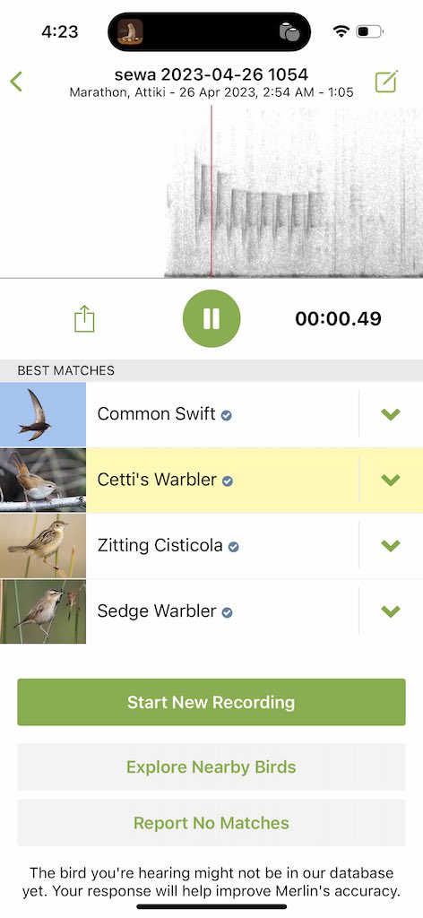 new merlin sound id update screenshot